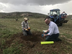 Susuz kaldılar, tarıma "can suyu" oldular