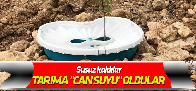Susuz kaldılar, tarıma "can suyu" oldular