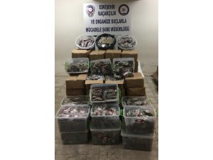 Gümrük kaçağı 1 ton 125 likogram tütün ele geçilirdi