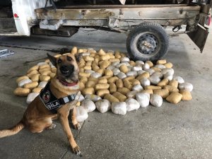 Van’da 155 kilo eroin ele geçirildi
