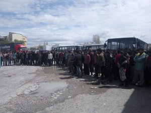 Van’da 213 kaçak göçmen yakalandı