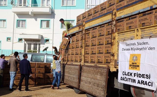 Büyükşehir’den çilek üreticisine büyük destek