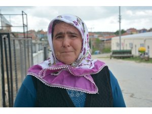 Uşak’ta kurtlar koyun sürüsüne saldırdı