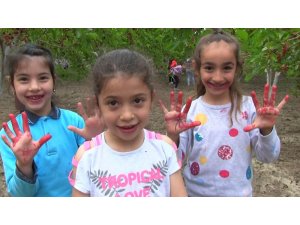 Dut hasadı şenlik ile başladı