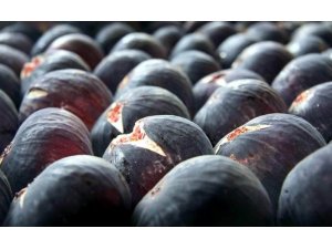 Dünyada rakibi olmayan Bursa Siyahı İnciri ihracat pazarlarını bir bir fethediyor