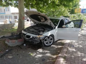 Köpeğe çarpmamak için ağaca çarptı