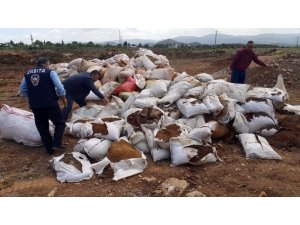 İslahiye’de küflenmiş ve kokmuş biber alarmı