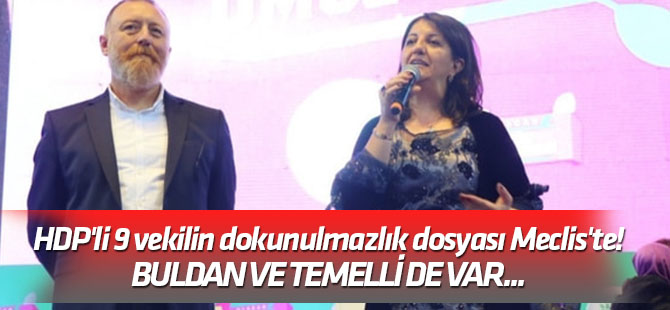 Buldan ve Temelli de var... HDP'li 9 vekilin dokunulmazlık dosyası Meclis'te!