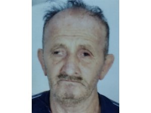 Ağaç budarken merdivenden düşen yaşlı adam hayatını kaybetti