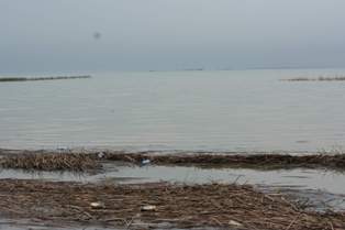 Beyşehir'de kıyılar için çevre tepkisi