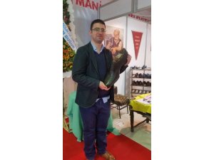 EGEİD’ten ayakkabı sektörü için tavsiye