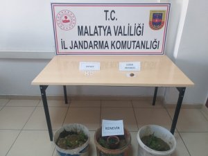 Malatya’da uyuşturucu operasyonu: 1 tutuklama