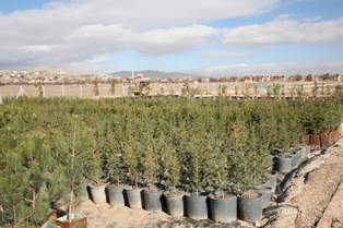 Beyşehir’de 150 fidanı toprakla buluşturdu