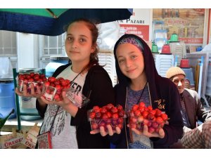 Lapseki kirazı 20 liradan tezgahlarda