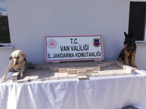Uyuşturucu kaçakçılarının yeni yöntemi hassas burunlara takıldı