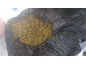 Şüpheli şahsın üzerinden bonzai çıktı