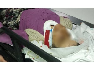 İnek hastanelik etti