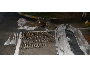 Botla kaçak balık avına bin 978 TL ceza