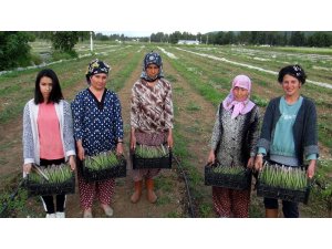 Kuşkonmaz için kariyerini bıraktı, şimdi taleplere yetişemiyor