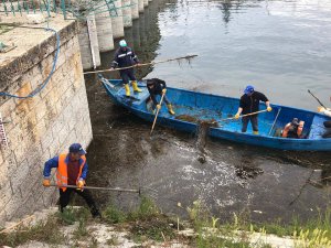 Beyşehir Gölü'nde sahil temizliği