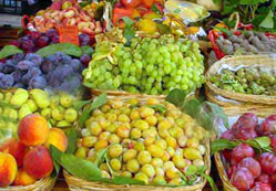 KOP ve meyvecilik konuşuldu