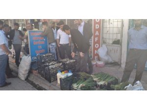 Yayladan topladıkları bitkileri satarak geçimlerini sağlıyorlar