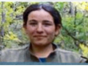 Tunceli’de 4 terörist öldürüldü