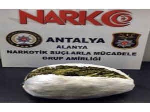Alanya’da 1.5 kilogram esrar ele geçirildi