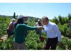 Gıda OSB hem üreticinin hem tüketicinin yüzünü güldürecek