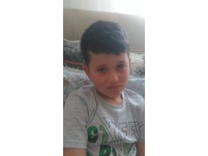 İznik’te başıboş köpek dehşeti