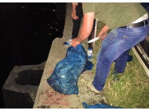 Tekirdağ’da 72 bin liralık kum midyesi ele geçirildi