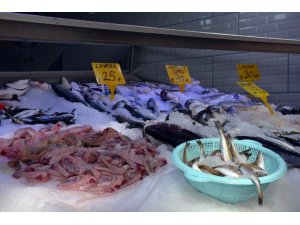 Sinop’ta Ramazan ayında balık fiyatları düştü