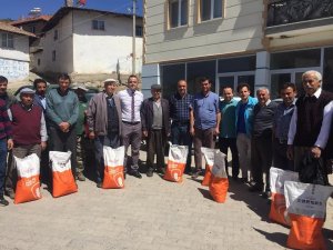 Silajlık mısır üretimi çiftçinin yüzünü güldürüyor