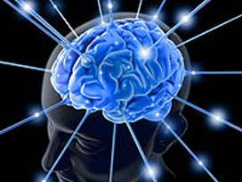 Bitkisel hayatta beyin gücüyle konuştu