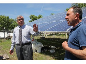 Tarım ve Orman İl Müdür Yardımcısı Ali Yalçın'ın incelemeleri