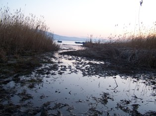 Beyşehir Gölü'ndeki kirlilik sorunu
