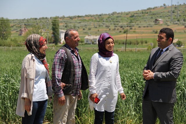Yalıhüyük'de mantar yetiştiriciliği
