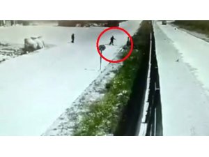 İşçilerin beslediği köpeği çitlerin üstünden kaldırıma fırlattı