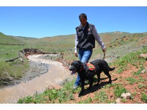 GÜNCELLEME - Kars'ta kaybolan çocuğu arama çalışmaları