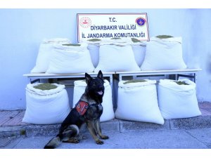Diyarbakır’da takibe alınan araçta 346 kilogram esrar ele geçirildi