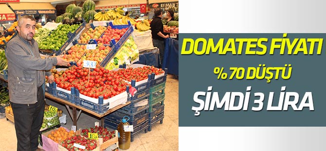 Domates fiyatları yüzde 70 oranında düştü