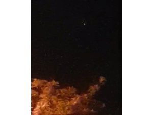 "Vallahi gördüm bu sefer hey yavrum benim"