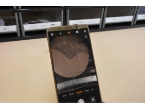 Cep telefonuyla buzağı ölümlerinin önüne geçilecek