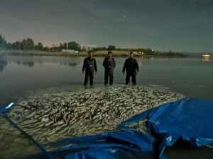Van’da kaçak avlanmış 3 ton balık ele geçirildi