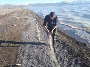 Van’da 750 kilo inci kefali balığı ele geçirildi