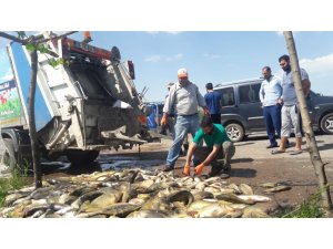 Bu kez de 1 ton 200 kilo balık çöp oldu
