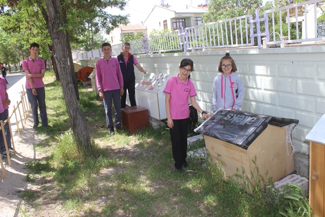 Öğrenciler hayvanlar için barınaklar yaptı