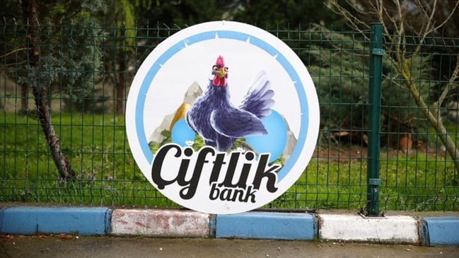 Çiftlik Bank davasında 9 kişi tahliye edildi!