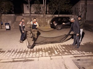 Jandarmadan kaçak avcılara geçit yok