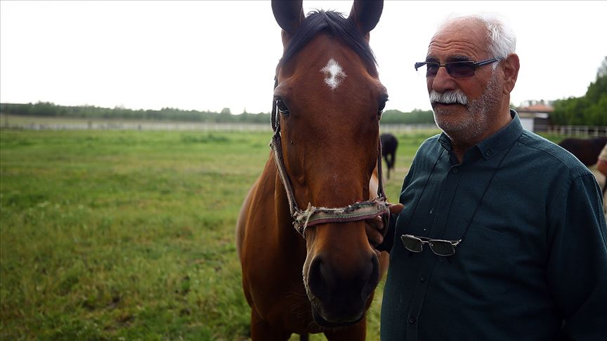 Şampiyon atların yarım asırlık seyisi: Hacı İpek